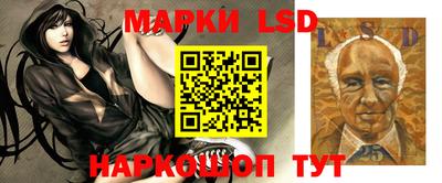 эйфоретик Донской