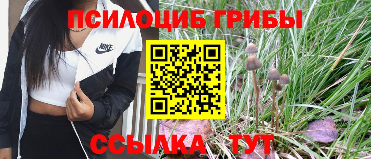 Псилоцибиновые грибы GOLDEN TEACHER Минусинск