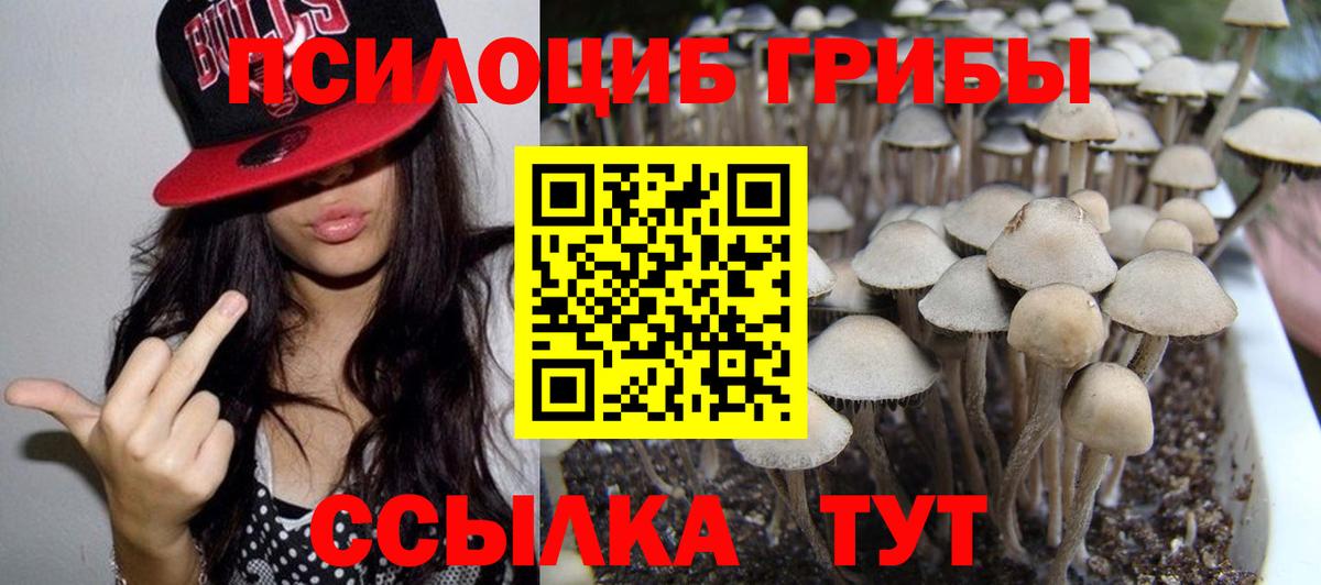 Галлюциногенные грибы Magic Shrooms  Вход с VPN  Минусинск  Галлюциногенные грибы GOLDEN TEACHER 